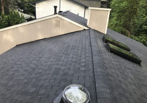 Roof after